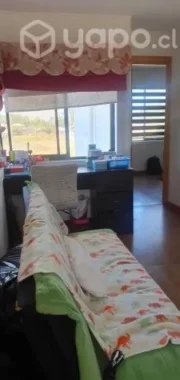 25869775_15d8c6