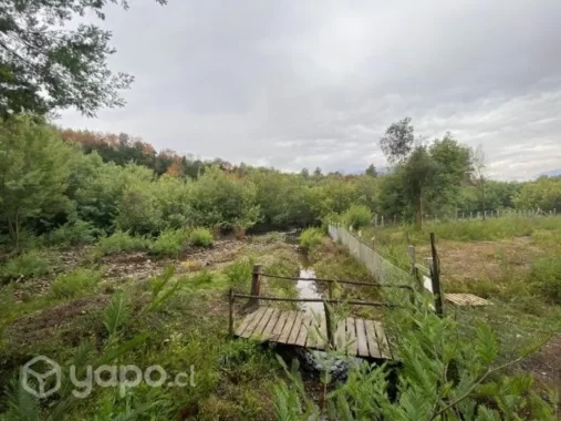 28045288_6423cf