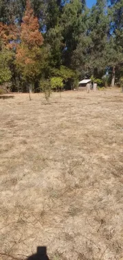 29647922_3cb854