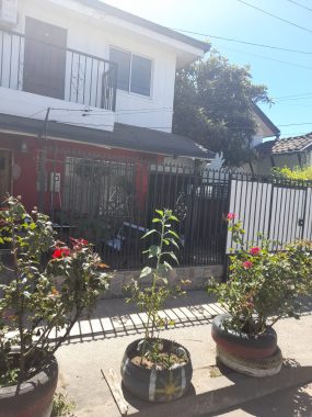frente