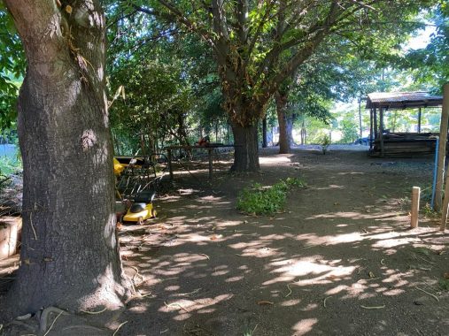 frutales