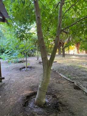 vista patio