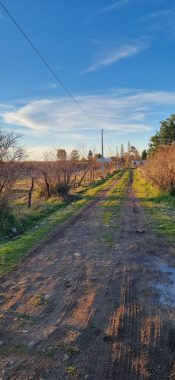 camino