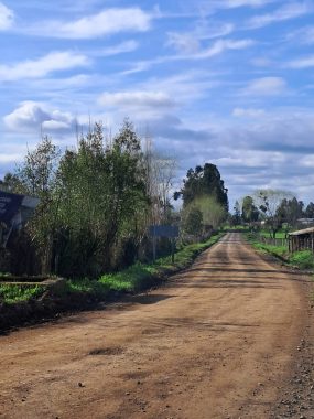 letrero